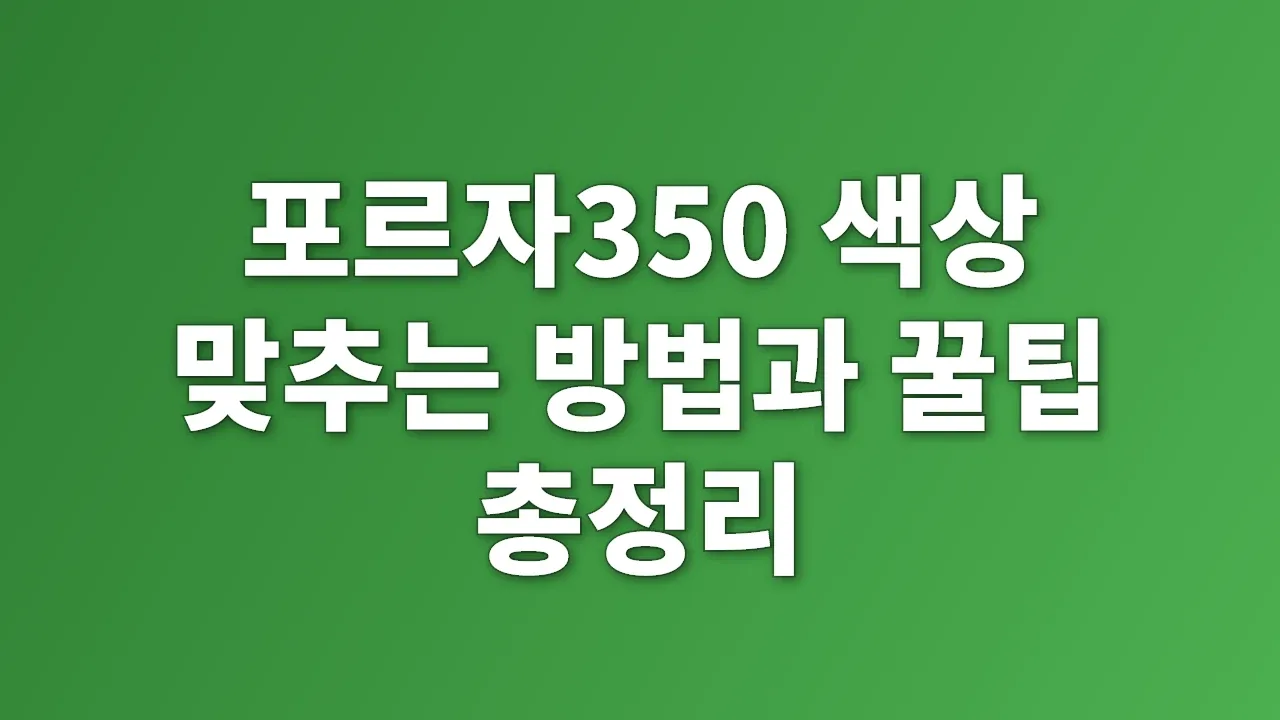 포르자350 색상 맞추는 방법과 꿀팁 총정리
